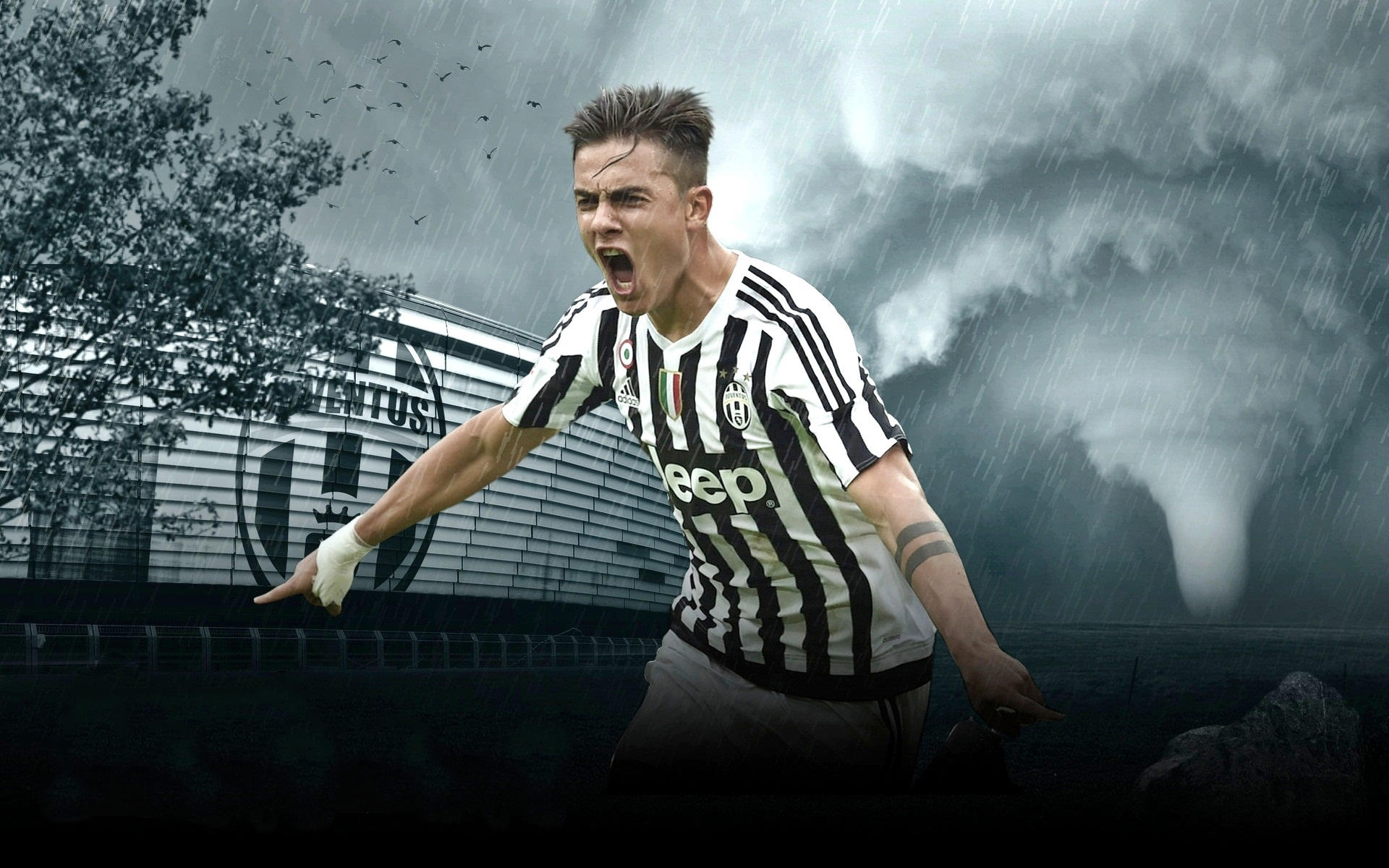 在于稳定预 在于稳定预